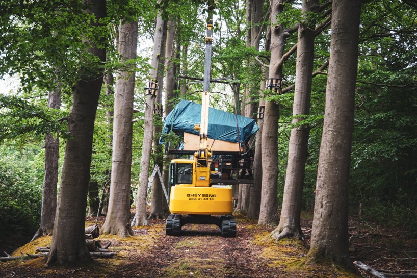 树屋酒店综合体在比利时布鲁日的森林小路上提供豪华露营体验