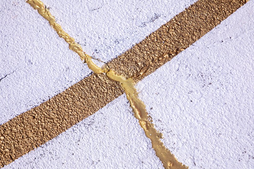 维克多·所罗门在洛杉矶南部的金继球场庆祝篮球康复