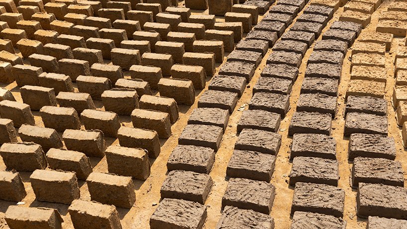 Warka Water 正在喀麦隆雨林建设一个社区驱动的综合村庄