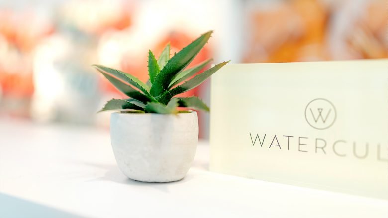 夏季心态 夏季心态