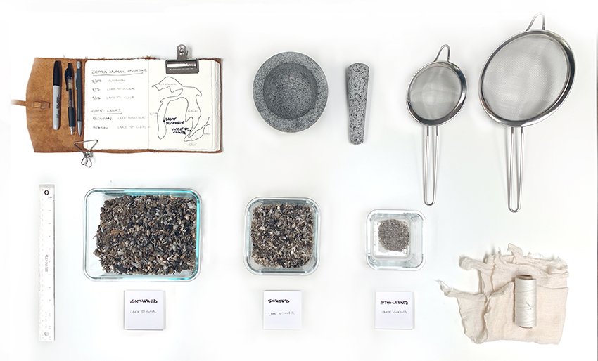 学生们利用入侵物种贻贝制作美丽的蓝色玻璃